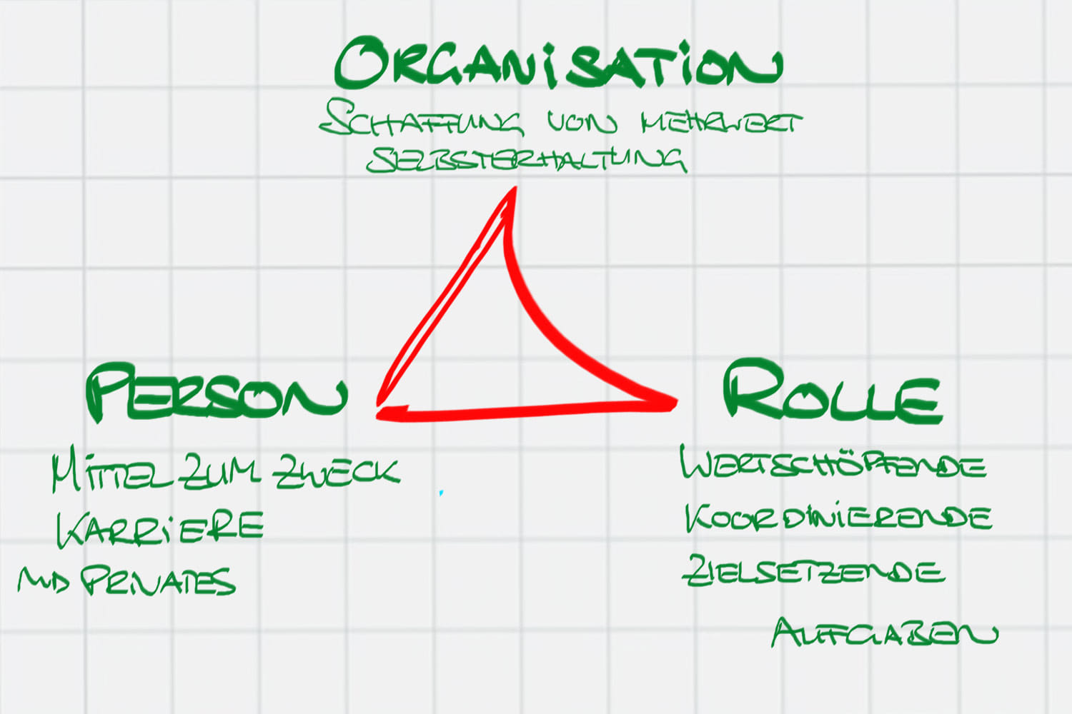 Person-Rolle-Organisation im Coaching-Prozess